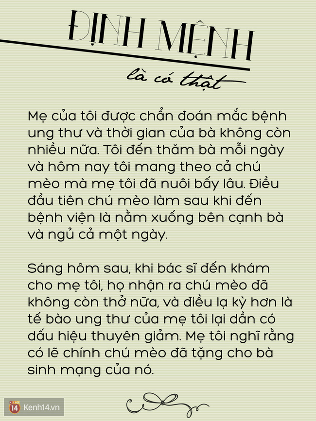 10 câu chuyện khiến bạn tin rằng định mệnh là điều kì diệu có thật! - Ảnh 10.