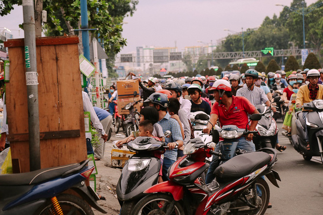 Hàng chục gian hàng gần sân bay Tân Sơn Nhất ồ ạt thanh lý chó, gà, cây cảnh, giao thông Sài Gòn hỗn loạn - Ảnh 9.