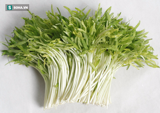 5 thực phẩm có tác dụng bảo vệ gan khoẻ mạnh cả đời: Có rất nhiều ở Việt Nam - Ảnh 3.