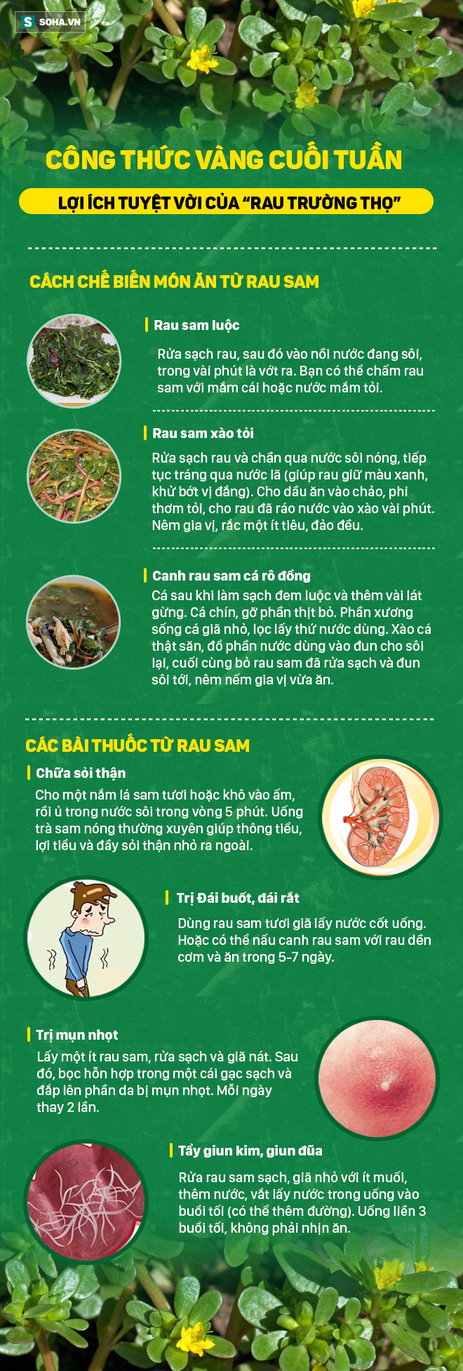 Trung Quốc gọi rau trường thọ, phương Tây tôn thảo dược quý còn người Việt vẫn bỏ phí - Ảnh 1.