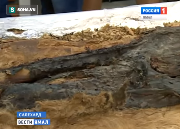Khai quật 2 xác ướp bị chôn vùi dưới lớp băng vĩnh cửu ở Bắc Cực - Ảnh 1.