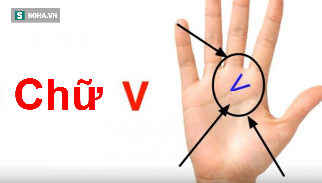 Bạn tìm xem trong lòng bàn tay có hình chữ V không, nó có ý nghĩa gì? - Ảnh 1.