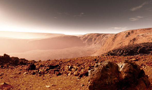 Phát hiện sự sống ở sa mạc khắc nghiệt nhất hành tinh - Ảnh 2.