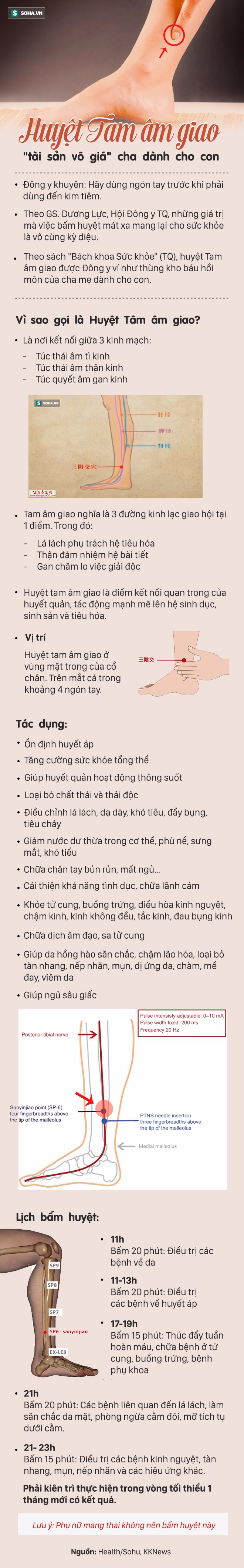 [Đọc nhanh] Đông y coi đây là của hồi môn quý giá: Nếu bạn thích bấm huyệt, đừng bỏ qua - Ảnh 1.