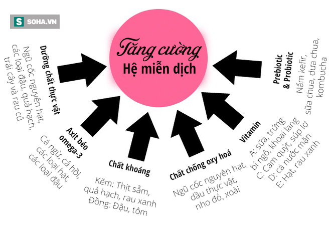 Tất cả điều bạn phải biết: Ăn gì CÓ LỢI, ăn gì GÂY HẠI cho hệ miễn dịch? - Ảnh 2.