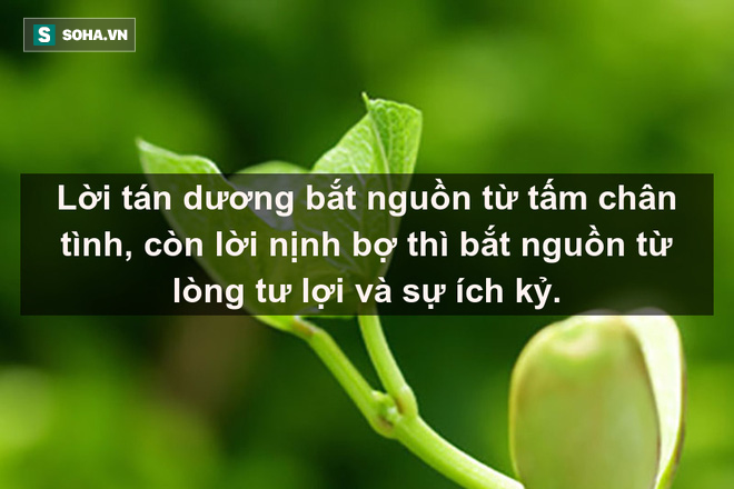 Tiêu Hà đuổi theo Hàn Tín và bí quyết đứng vững giữa đời gói gọn trong 2 chữ: Đáng ngẫm! - Ảnh 2.