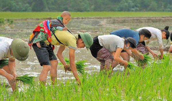 Khoảnh khắc trên phố Hà Nội khiến bao trái tim nghẹn ngào - Ảnh 4.