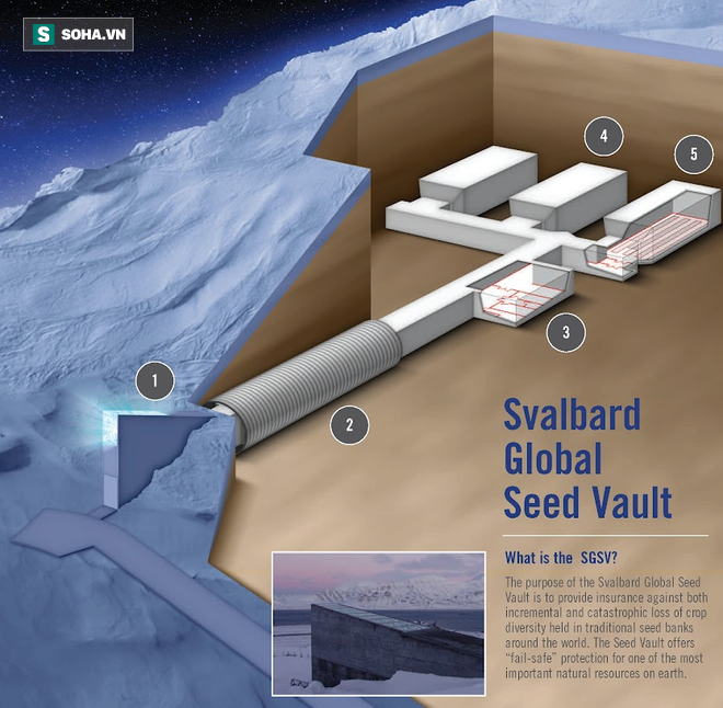 Lưu trữ gần 1 triệu hạt giống, hầm chống tận thế thách thức mọi thảm họa trên Trái Đất - Ảnh 1.