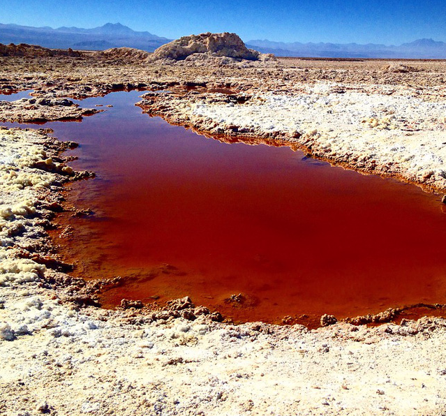Người dân sống ở hoang mạc khô cằn đã tiến hóa để uống được nước nhiễm độc asen - Ảnh 2.