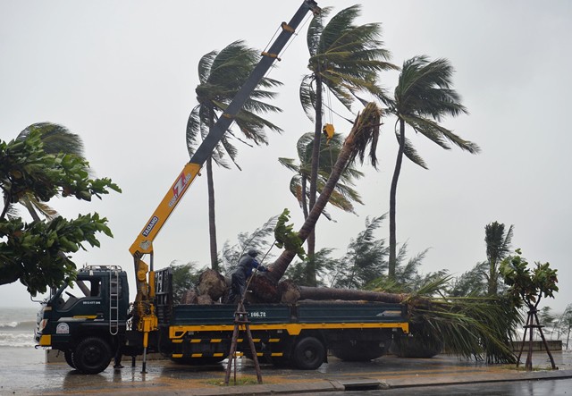 Quân, dân Đà Nẵng đội mưa dọn dẹp vệ sinh trước giờ khai mạc APEC - Ảnh 11.