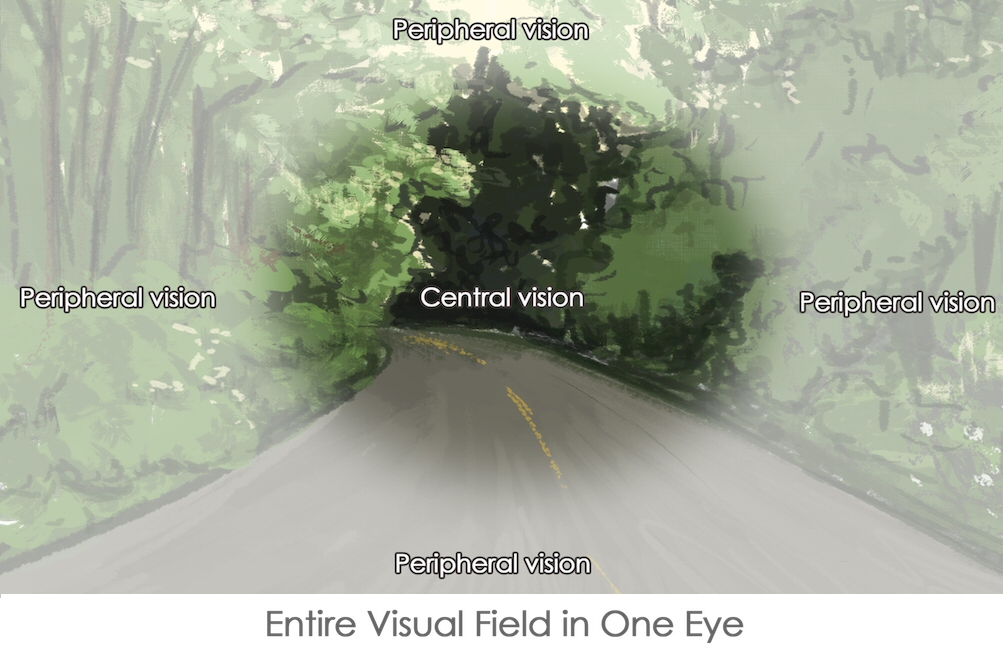 Cách duy trì và cải thiện Peripheral Vision