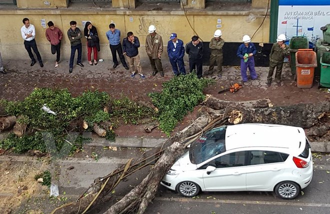 VIDEO: Mưa, lốc, cây đổ đè bẹp ô tô trên phố Hà Nội - Ảnh 3.