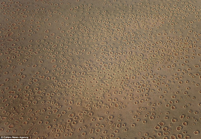Giải mã bí ẩn những vòng tròn kỳ lạ trên sa mạc ở châu Phi - Ảnh 3.