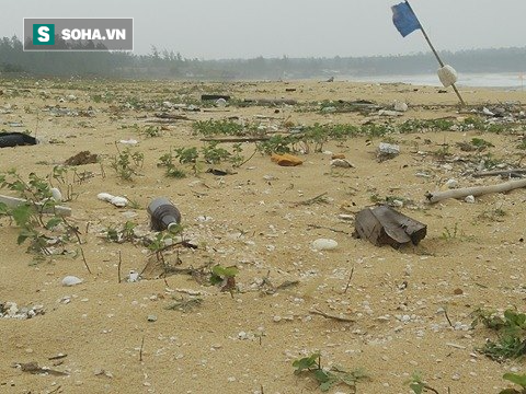 Nhiều km bờ biển tỉnh Quảng Nam ngập tràn rác thải có chữ Trung Quốc - Ảnh 1.