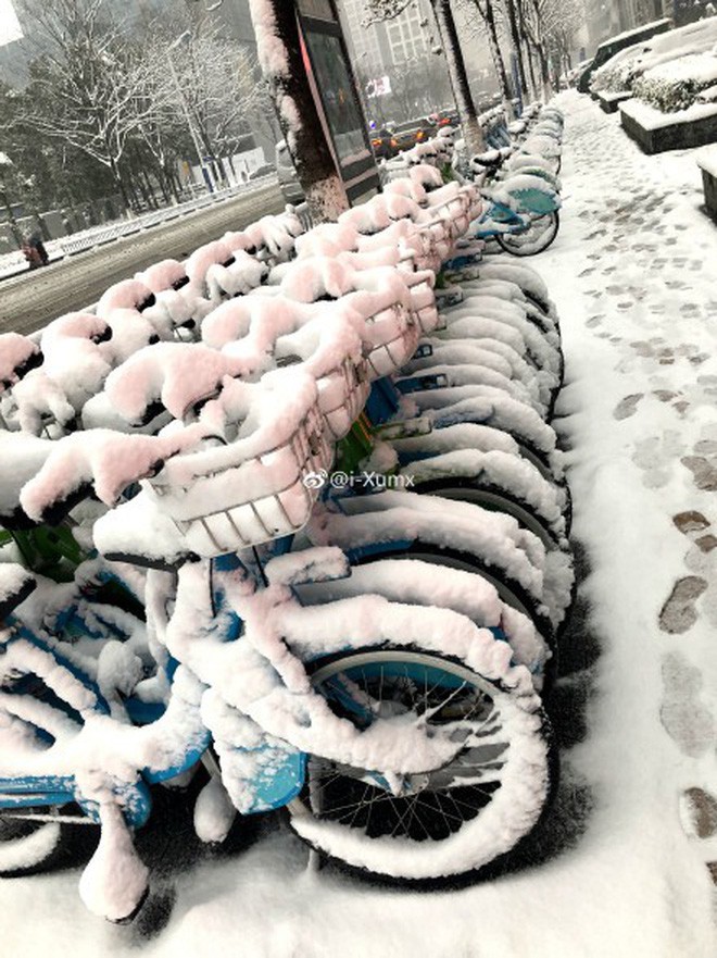 Thời tiết Trung Quốc tiếp tục chuyển lạnh, báo chí đưa tin hôm 27, nhiệt độ chỉ còn từ -3 đến 0 độ C - Ảnh 9.