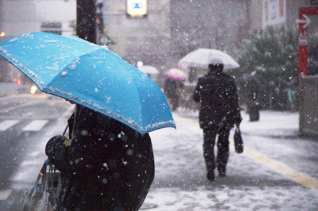 Thời tiết Tokyo, Nhật Bản đang lạnh nhất trong 48 năm qua - Ảnh 4.