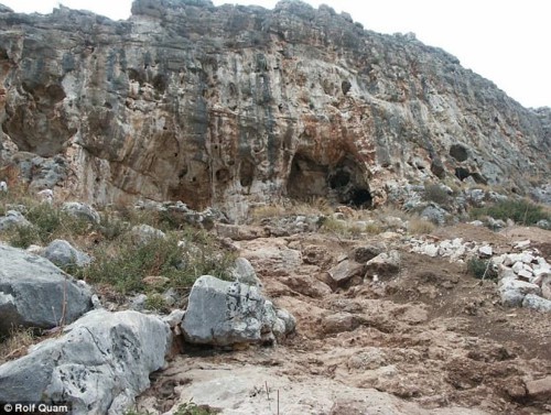 Hóa thạch phát hiện ở Israel có thể sẽ viết lại lịch sử nhân loại - Ảnh 1.