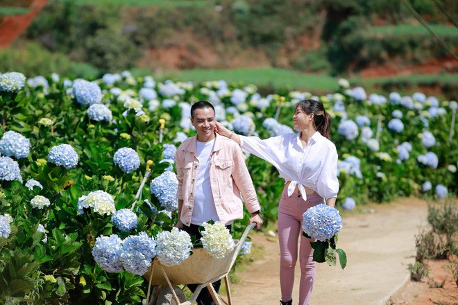MC Hoàng Linh hạnh phúc như cô gái lần đầu biết yêu trong bộ ảnh cưới tại vườn cẩm tú cầu Đà Lạt - Ảnh 22.