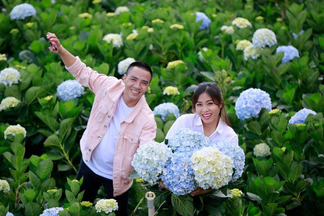 MC Hoàng Linh hạnh phúc như cô gái lần đầu biết yêu trong bộ ảnh cưới tại vườn cẩm tú cầu Đà Lạt - Ảnh 4.