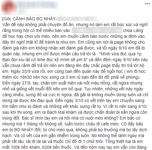 Cô nàng số nhọ: Đi cà phê mèo về bỗng tốn thêm 720 nghìn tiền chữa bệnh vì bị bọ nhảy đốt tan nát tay - Ảnh 2.