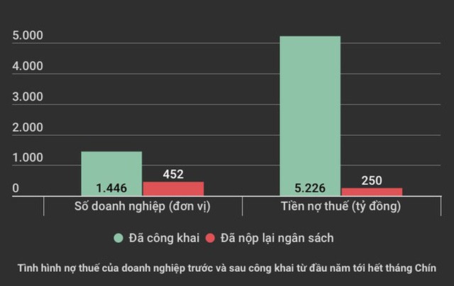  Hà Nội: 8 doanh nghiệp nợ hơn 700 tỷ đồng tiền sử dụng đất  - Ảnh 1.