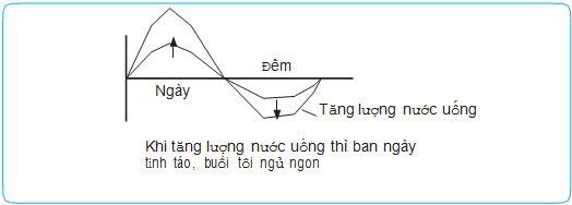 Chuyên gia Nhật tiết lộ bí kíp chăm sóc người cao tuổi với nước  - Ảnh 1.