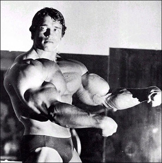 Action superstar Arnold Schwarzenegger: Glorious career tarnished by sex scandal - Photo 2.