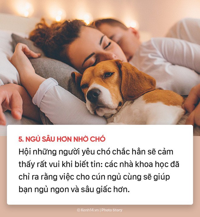 Dù yêu chó đến mấy nhưng có thể bạn cũng chưa biết 10 sự thật bất ngờ về những chú cún đáng yêu - Ảnh 4.