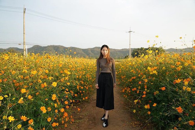 Ngẩn ngơ ngắm cánh đồng hoa cosmo Nhật Bản khoe sắc rực rỡ như ở chốn thiên đường - Ảnh 13.