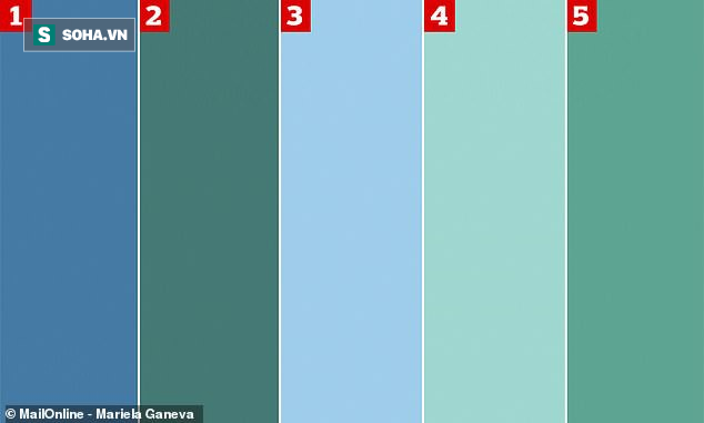 Nhìn bảng gồm 5 màu này, bạn có biết được đâu là màu xanh dương, đâu là màu xanh lá? - Ảnh 1.