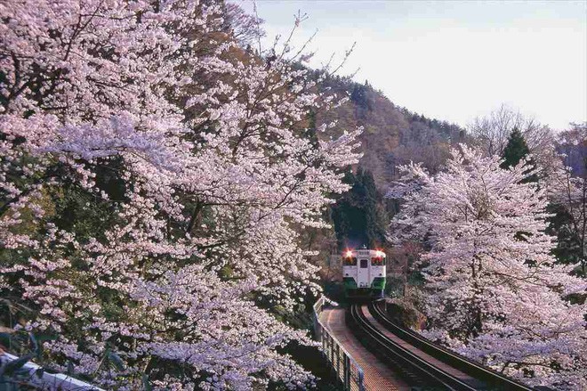 Tadami Line: Chuyến tàu hỏa nhỏ xinh nhất Nhật Bản, đi qua 4 mùa là 4 khung trời khác nhau - Ảnh 2.