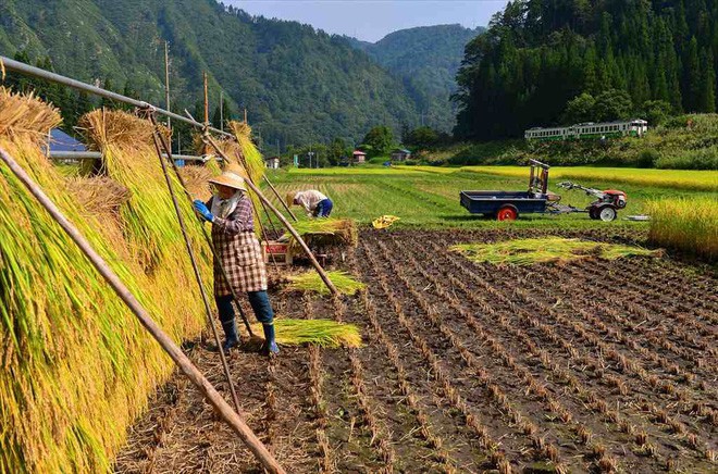 Tadami Line: Chuyến tàu hỏa nhỏ xinh nhất Nhật Bản, đi qua 4 mùa là 4 khung trời khác nhau - Ảnh 15.