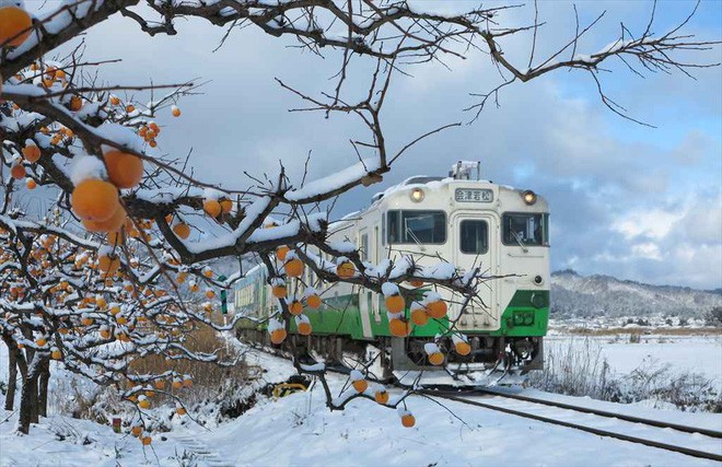 Tadami Line: Chuyến tàu hỏa nhỏ xinh nhất Nhật Bản, đi qua 4 mùa là 4 khung trời khác nhau - Ảnh 16.