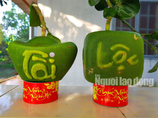 Ngắm 2 loại trái cây tạo hình “độc lạ” đón Tết Nguyên đán 2019 - Ảnh 7.