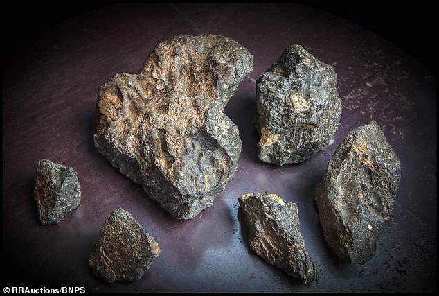 Viên đá Mặt Trăng 5,5 kg, trị giá hơn nửa triệu USD được đưa về Việt Nam - Ảnh 1.