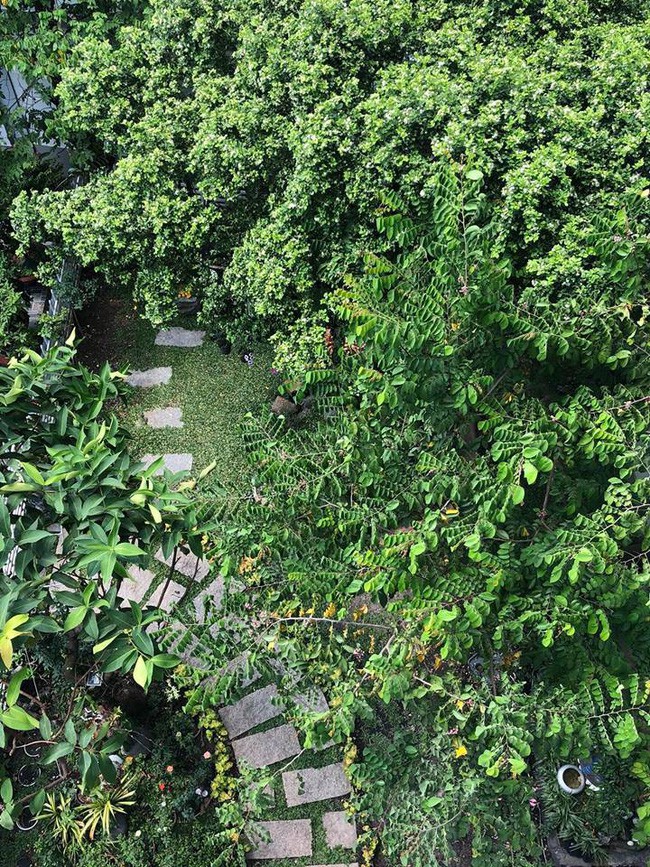 Ngắm vườn rau sạch và hoa tươi vô cùng bình yên của vợ chồng nghệ sĩ Hồng Vân và Lê Tuấn Anh - Ảnh 14.