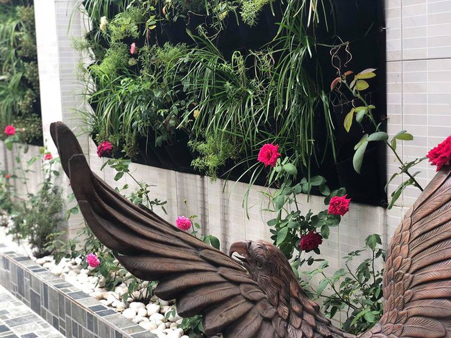 Ngắm vườn rau sạch và hoa tươi vô cùng bình yên của vợ chồng nghệ sĩ Hồng Vân và Lê Tuấn Anh - Ảnh 20.