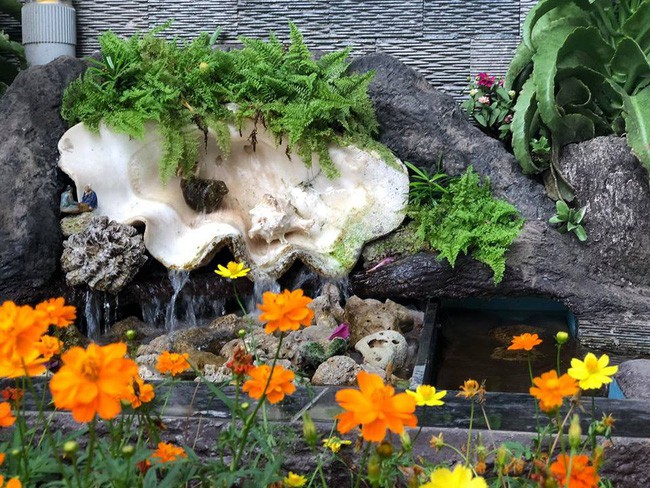 Ngắm vườn rau sạch và hoa tươi vô cùng bình yên của vợ chồng nghệ sĩ Hồng Vân và Lê Tuấn Anh - Ảnh 27.