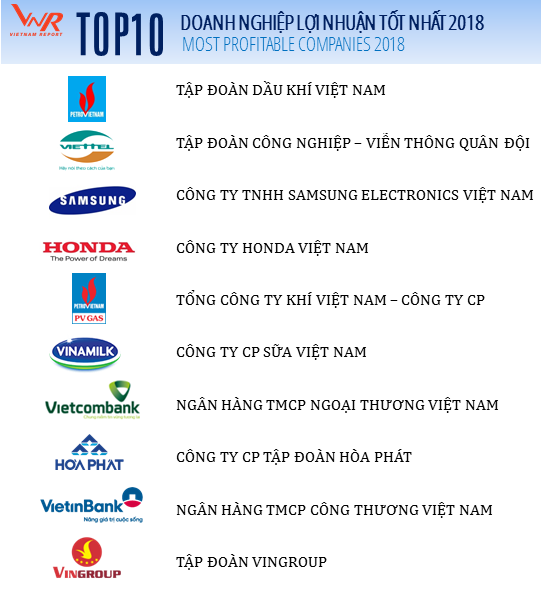 Top 10 doanh nghiệp tư nhân lãi nhất Việt Nam: Vinamilk đứng đầu, VinGroup vượt Thaco về vị trí thứ 3 - Ảnh 2.