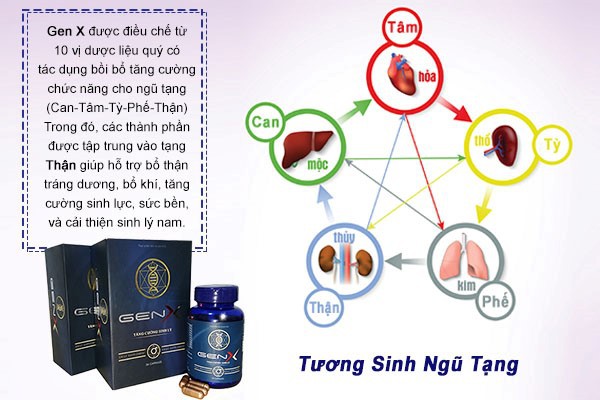 Giải pháp hỗ trợ tăng cường khả năng sinh lý nam hiệu quả - Ảnh 1.