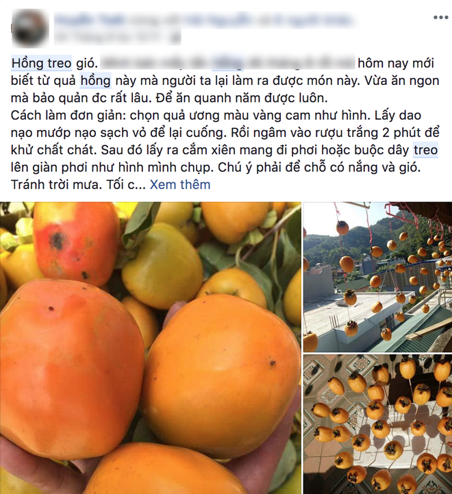 Năm nào cũng thế, cơn sốt tự làm hồng treo gió cứ đến hẹn lại lên và chẳng bao giờ hạ nhiệt - Ảnh 5.