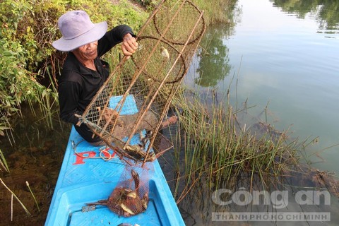 Những xóm du cư mùa nước nổi - Ảnh 12.