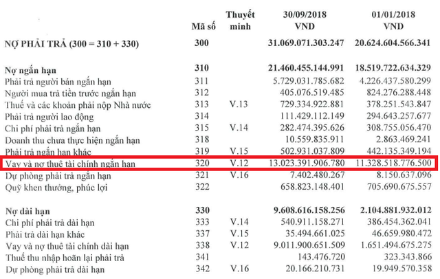 Đẩy nợ lên 44% tổng tài sản, bức tranh màu hồng của vua thép Hoà Phát đang bớt sáng? - Ảnh 1.