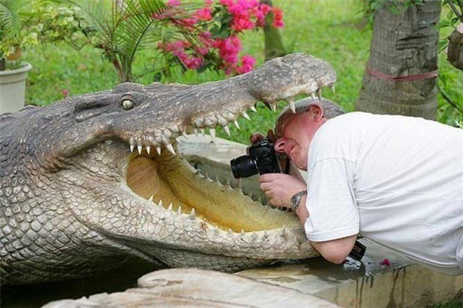 Nếu bạn thắc mắc tại sao các nhiếp ảnh gia lại chụp được những bức ảnh thiên nhiên, động vật đẹp đến kinh ngạc thì đây là câu trả lời - Ảnh 1.