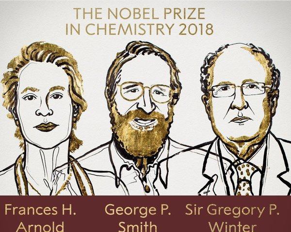 Nobel Hóa học 2018 vinh danh ba nhà khoa học tiến hóa - Ảnh 1.
