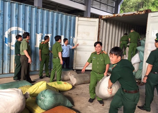  (NÓNG) Phát hiện hơn 10 tấn ngà voi và vảy tê tê nhập lậu tại Cảng Tiên Sa  - Ảnh 2.