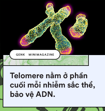 Thiên nhiên kì diệu: Đây là những sinh vật khiến bạn tin vào sự bất tử - Ảnh 11.