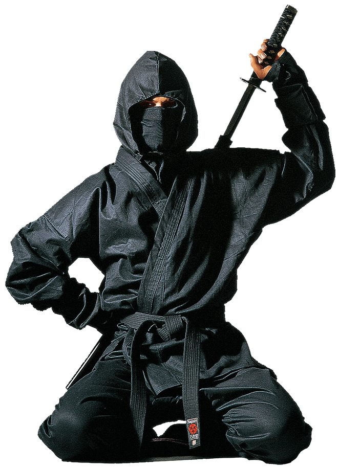 Ninjutsu: Huyền thoại các Ninja - Ảnh 1.