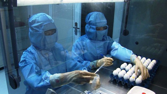 Cận cảnh quá trình điều chế vắc-xin phòng H5N1 made in Việt Nam - Ảnh 5.
