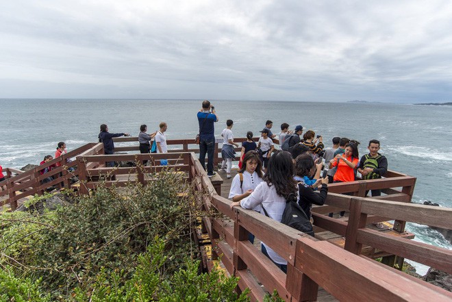 Du khách Trung Quốc đổ xô đến đảo Jeju (Hàn Quốc) chỉ để... thi bằng lái xe - Ảnh 2.